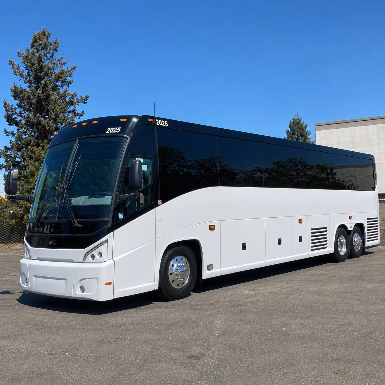 youth group and retreat transportation from canton to camp luz cedar point and beyond